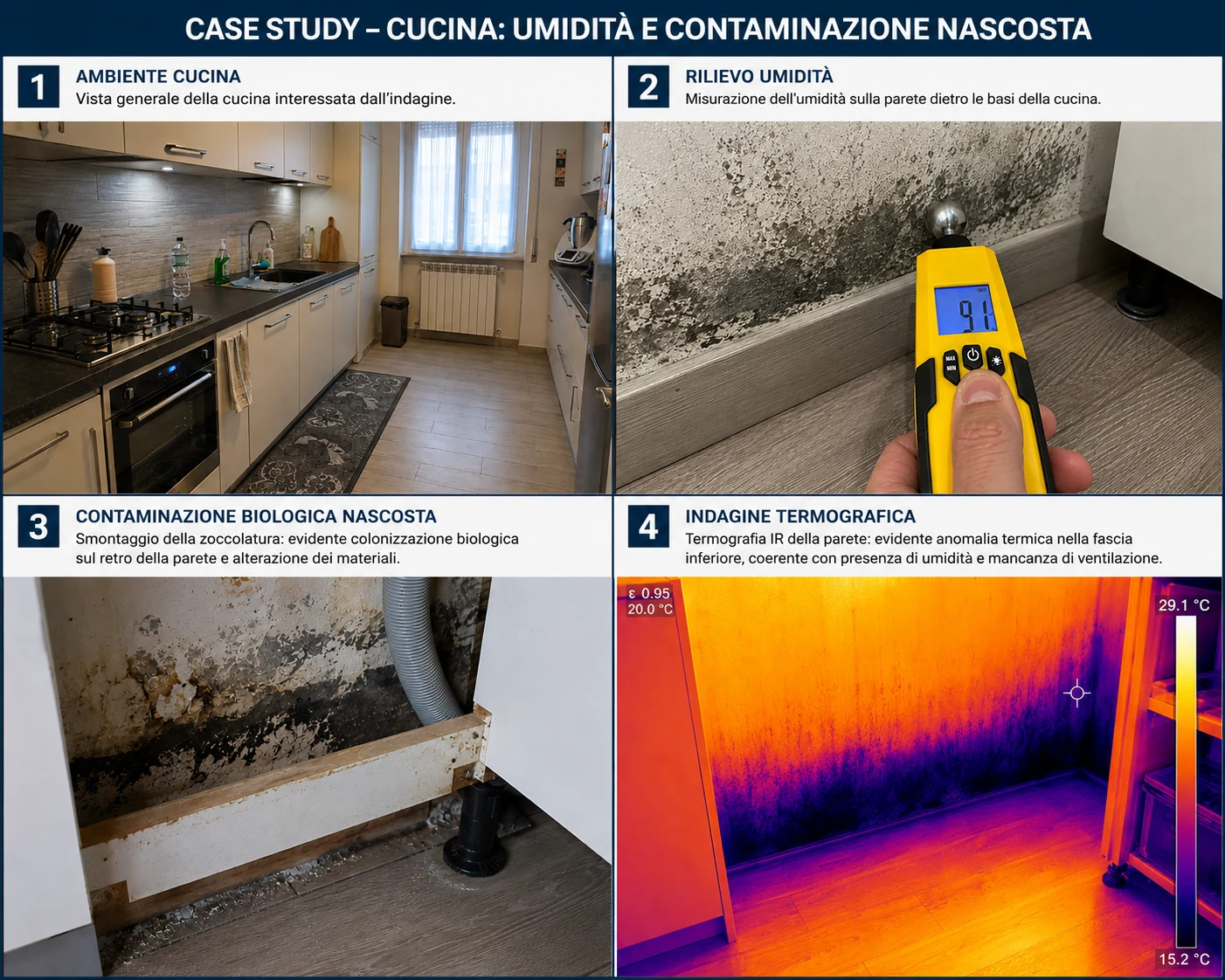 caso studio muffa Torino