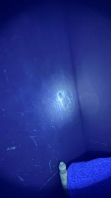 luce blu