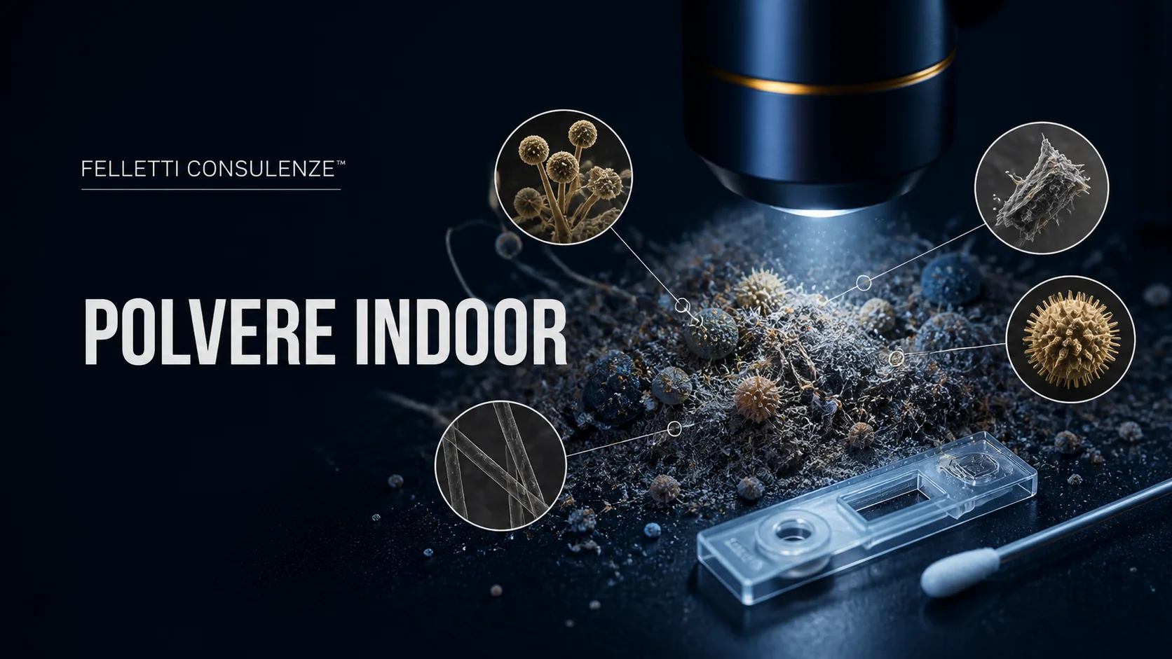Polvere indoor come serbatoio biologico: significato e limiti diagnostici