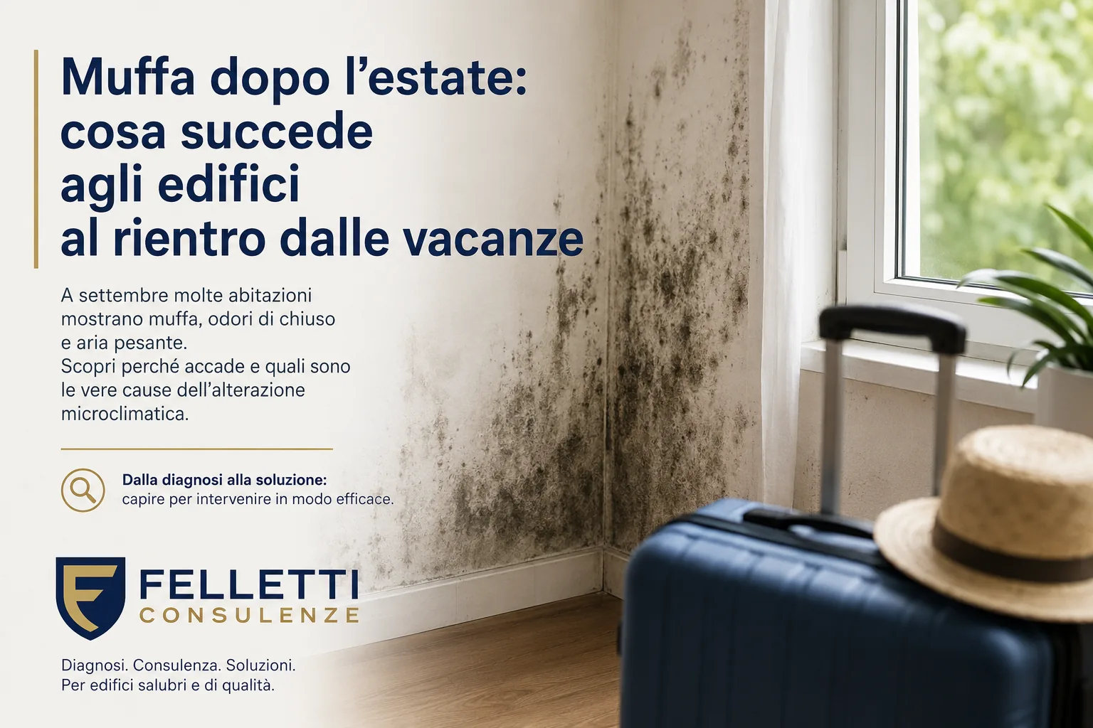 Muffa dopo l’estate Diagnosi tecnica e cause