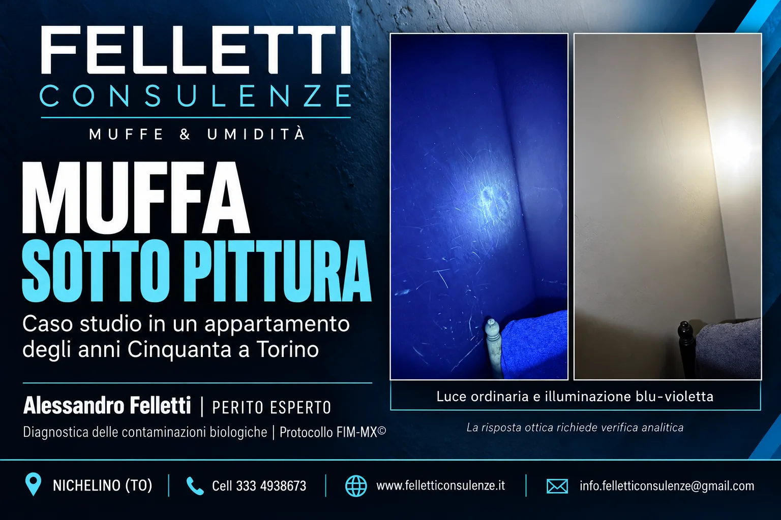 Muffa sotto pittura a Torino | Caso studio Felletti