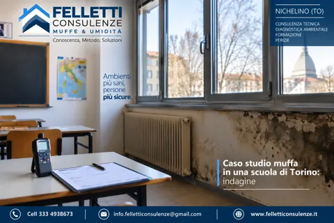 Caso studio muffa in una scuola di Torino: indagine e risanamento